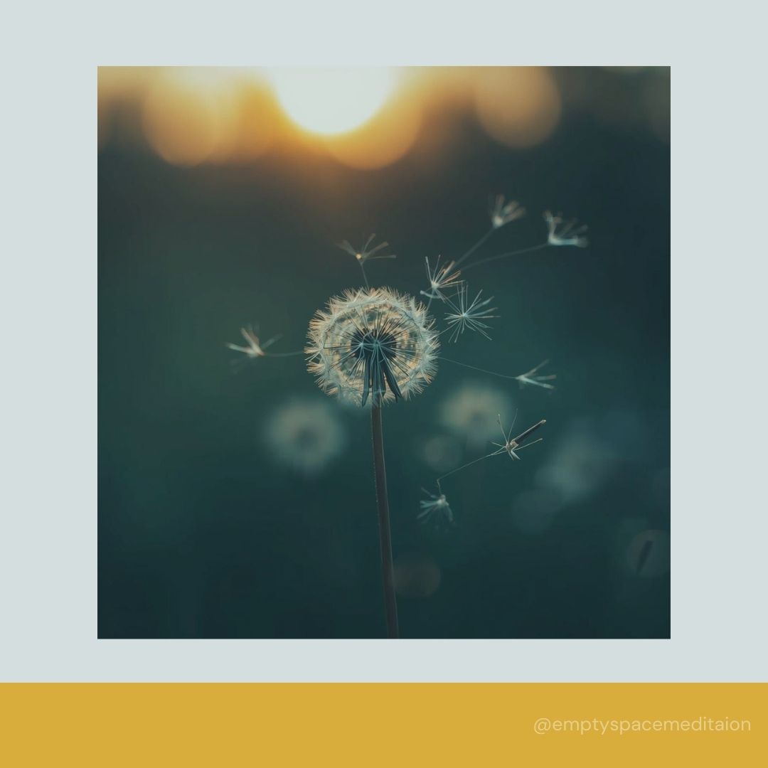Impermanence Makes Everything Possible