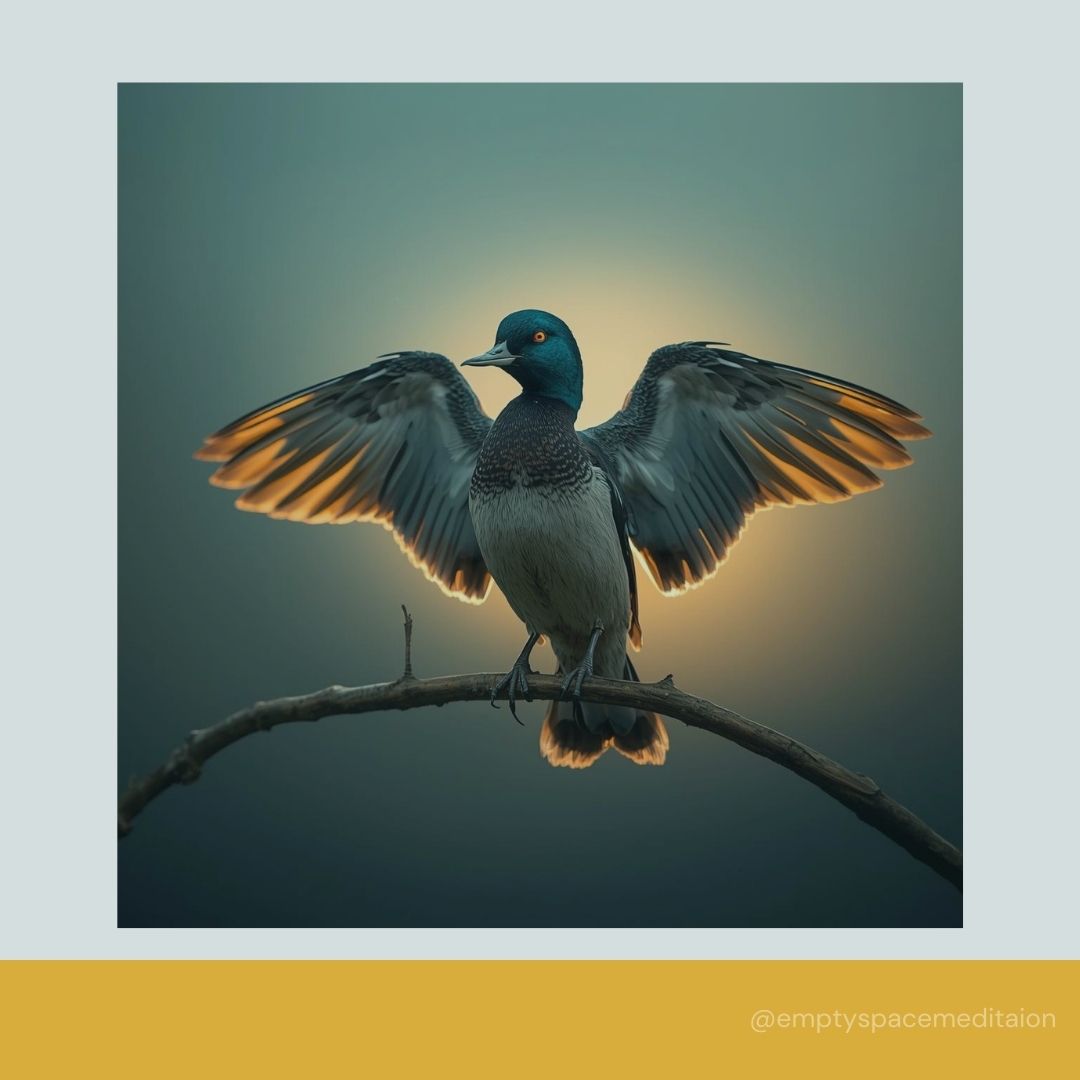 What Kind of Bird Can't Fly?
